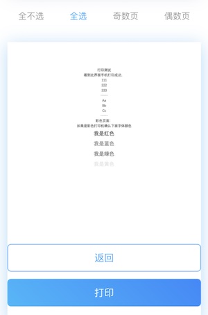 打印预览